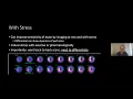 Introduction to Nuclear Medicine - Global Medical Physics Education Lecture 17