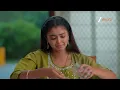 Lagu Meghasandesam | Ep - 490 | Webisode | Dec 03 2025 | Zee Telugu