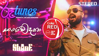 Download Sanwedana | සංවේදනා | Shane Zing | Coke RED | @RooTunes MP3