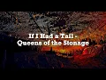 Queens of the Stone Age - If I Had a Tail (Lyrics)