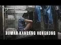Lagu Hidup Dalam Rumah Kandang: Sisi Gelap Kemewahan Hongkong