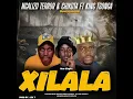 Download Lagu Ngalizo Terror \u0026 Chikota ft King tsonga - Xilala (Official Audio) 2025