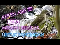 Download Lagu trucuk Lumut suara jernih//buat pancingan//voice bird merbah Rimbo