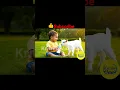 Download Lagu “1-Year-Old Baby and Baby Goat’s Adorable Bond 🐐👶 | Heartwarming Video”