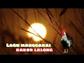 Download Lagu Kakor lalong