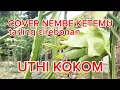 Download Lagu COVER NEMBE KETEMU : UTHI KOKOM Tarling Cirebonan