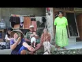 Download Lagu Amazing!!! Seambrek Caung Harvest // The results were immediately cooked in Chinese catfish stir-fry