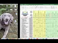 Tournament Seeding Tutorial