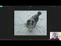 Python with Puppies Adding Photos to Our Python powered Puppy Playtown Cleanup final