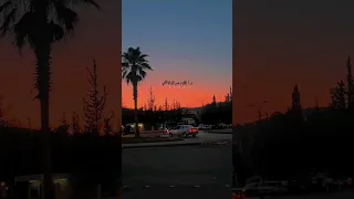 عادل جراح عشقت هواك 