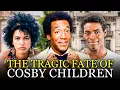 Bill Cosby - The Dark Reality For His 5 Children
