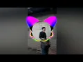 Download Lagu DJ viral . banyakin duit bukan bacot full bass