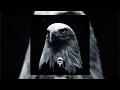 Download Lagu ANIMALS EDIT \u0026 BRUXO FANTASMA (SUPER SLOWED) | Edit phonk