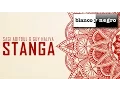 Download Lagu Sagi Abitbul \u0026 Guy Haliva - Stanga (Official Audio)