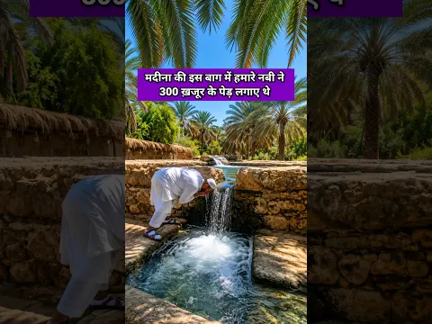 Salman Farsi Khajoor Ki Baag | Madina Sharif | Saudi Arabia #shorts #minivlog #islamicvideo
