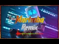 Lagu Marimba Remix | Marimba EDM | Marimba music | by iBGM