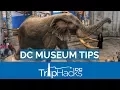 8 Tips for the Smithsonian and FREE museums in DC