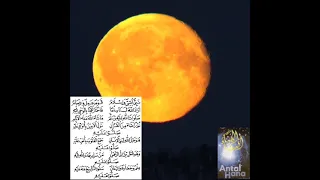 sholawatullahi alaihi wa sallam ust agus muhaimin annabawiyyah