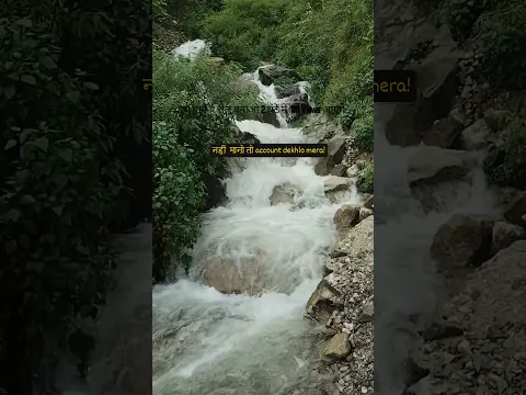 Ye mera dil gya.. #naturelovers