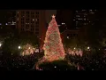 WATCH Chicago Christmas tree LIT as holiday season begins