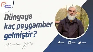 Dünyaya kaç peygamber gelmiştir?
