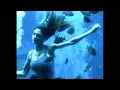 Download Lagu The Marías - Exit Music For a Film (Radiohead cover)