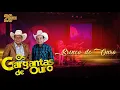 Download Lagu Os Gargantas De Ouro - Brinco de Ouro (DVD 20 Anos Ao Vivo)