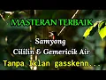 Download Lagu AUDIO MASTER SAMYONG, CILILIN DAN GEMERICIK AIR MASTERAN PLUS TERAPI TERBAIK MURAI BATU