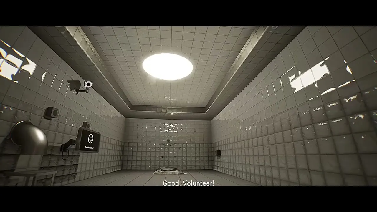 Compliance consultant