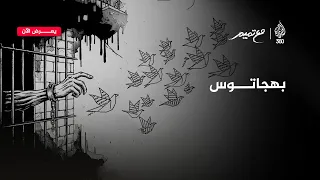 مع تميم   بهجاتوس دندنها