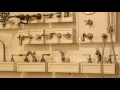 Ferguson Kitchen Bath Lighting