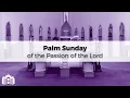Palm Sunday of the Passion of the Lord 8 30AM