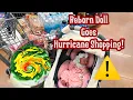 Hurricane Is Coming Reborn Doll Walmart Outing