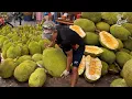 Download Lagu Giant Jackfruit Full Clip - Thai fruit center 💚🫵