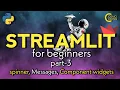 Streamlit Tutorial for Beginners - Spinner Widget types of messages Component widget