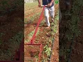 🔥Weeder Tool Machine for Farmers #agriculture #farm #ideas