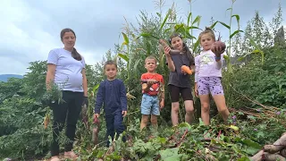 Their Baby Is Almost Here — But Their Home Is Still Unfinished