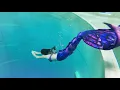Download Lagu Sirène Noemie joue sous l'eau - Tony's_photographie