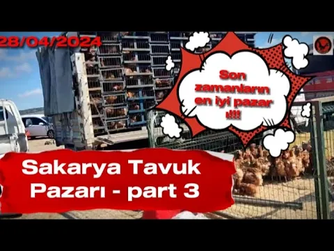 Download MP3 28/04/2024 Sakarya TAVUK 🐔 pazarı part 3