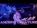 ALÉM / AYLÉM | ANCIENT CREATURE |