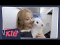 Lagu [KI-OFF] KLIP-#46 | ELLE 'Hello Little Love' 프로젝트 화보 촬영 Behind