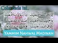 Download Lagu Yammim Nahwal Madinah~ VERSI ~ Sholawat Diba'i | Ya Nabi Salam Alaik.