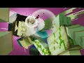 Download Lagu 7 PAGE MUDA to DEFEAT Grotesque Steve | Villager vs Grotesque Steve (Minecraft Animation)