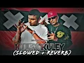 Download Lagu Kuley Kuley (Slowed + Reverb) Honey 3.0 | Yo Yo Honey Singh