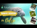 Belize Tourbase - Manatee Excursion