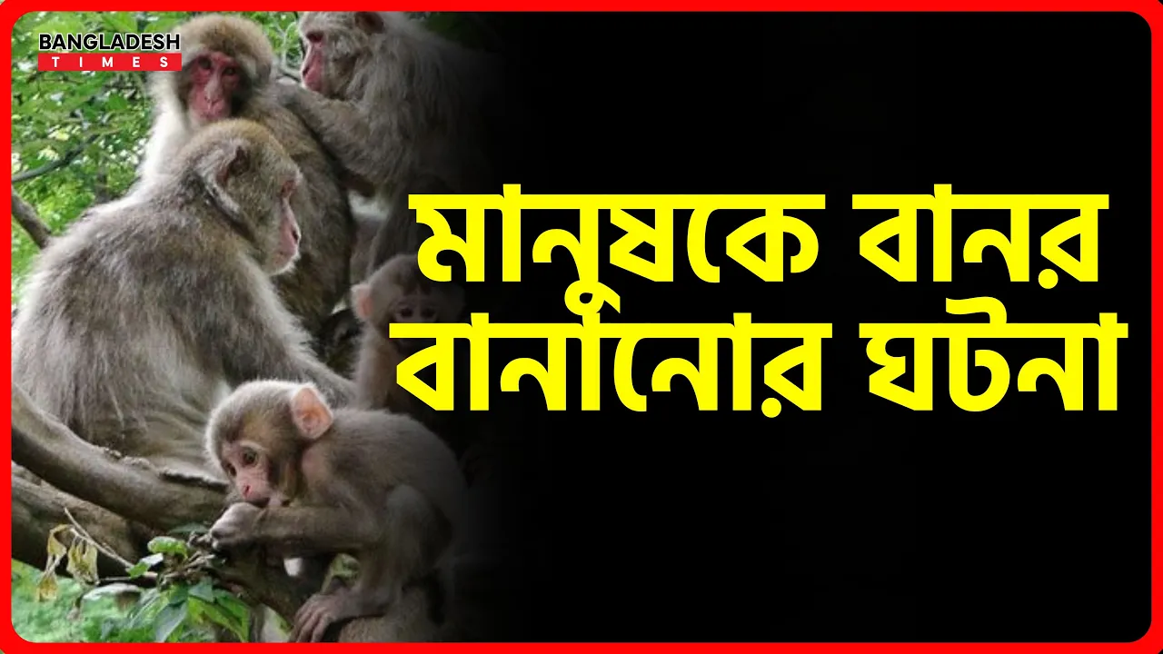 মানুষকে বানর বানানোর ঘটনা