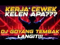 Download Lagu DJ TEMBAK LANGIT SATU ROOM PASTI GOYANG PARGOY JUNGLE DUTCH 2023