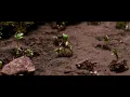Floating Points - Last Bloom (Official Video)