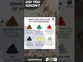 Download Lagu What does the colour of your poop mean? 💩 #shorts