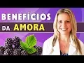 Benefícios da Amora - Para Que Serve? Emagrece? E o Chá? [DICAS]